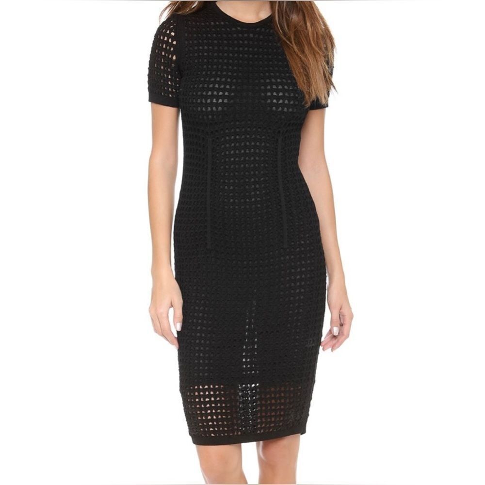 Alexander Wang Crochet Dress